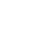 ADA icon